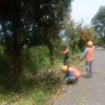 IMG-20260606-WA0072